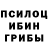 Псилоцибиновые грибы Psilocybine cubensis Arman Lastman