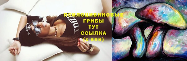 твердый Богданович