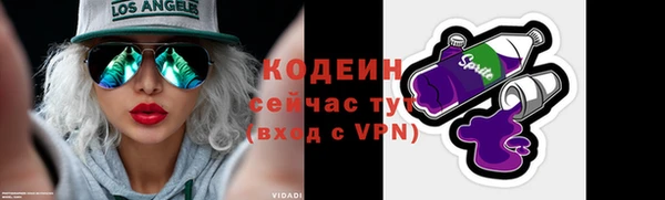spice Богородск