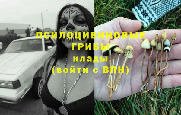 твердый Богданович