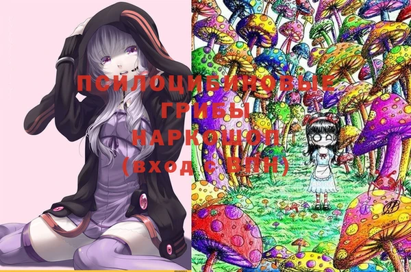 прущая мука Богородицк