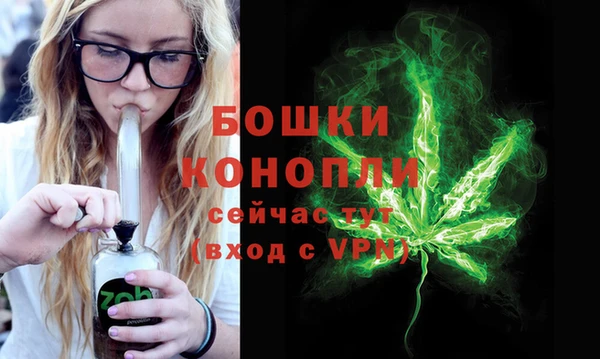 ECSTASY Белокуриха