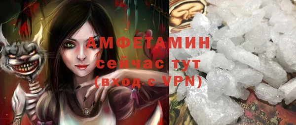 твердый Богданович