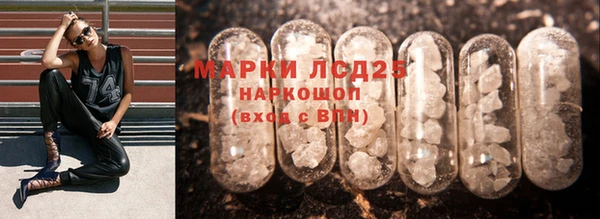 твердый Богданович