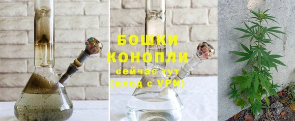 твердый Богданович