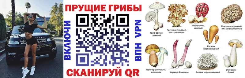 Галлюциногенные грибы GOLDEN TEACHER Дмитриев