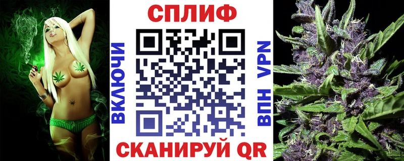Бошки марихуана сатива  купить наркотики сайты  Дмитриев 